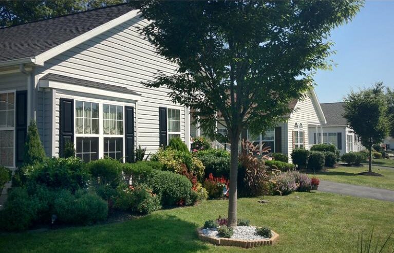 A tree in the middle of a yard with flowers.